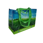 Berni Group Borsa ripiegabile per la spesa in PP con ganci 38x43x20cm