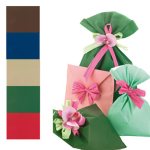 PNP 100 BUSTE REGALO IN PPL MAT A everyday classic 16x25cm 5 colori assortiti