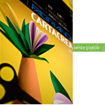 Blister 10fg cartoncino 35x50cm 220gr verde pisello Cartacrea Fabriano