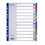 Separatore in PPL traslucido 12 tasti f.to A4 MAXI 24,5x29,7cm ESSELTE