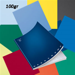 PIGNA MAXIQUADERNO A4 36fg+2 100gr 4mm MONOCROMO 100