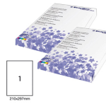 Etichetta adesiva bianca 100fg A4 210x297mm (1et/fg STARLINE