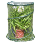 Serra Pop-up Anthurium 70x100cm verde/trasparente Verdemax