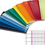 MAXIQUADERNO A4 40fg+2 80gr 2colonne MONOCROMO PIGNA