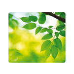 MOUSEPAD FOGLIE ecologici Earth Seriesâ„¢ Fellowes