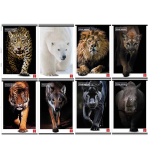 Maxiquaderno A4 80gr 40+2fg 4mm c/margine Animal Pigna