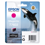 EPSON CARTUCCIA INCHIOSTRO A PIGM.MAGENTA T7603