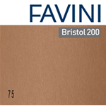Conf.10 cartoncino Bristol Color 200gr 100x70cm marrone 75 Favini