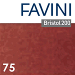 Conf.25 cartoncino Bristol Color 200gr 50x70cm marrone 75 Favini