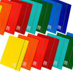 CARTELLA 3L C/ELASTICO 26X35CM dorso 1,2cm ONE COLOR 2390 BLASETTI