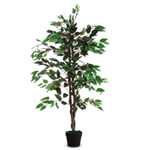 ALCO Pianta ornamentale FICUS H120cm